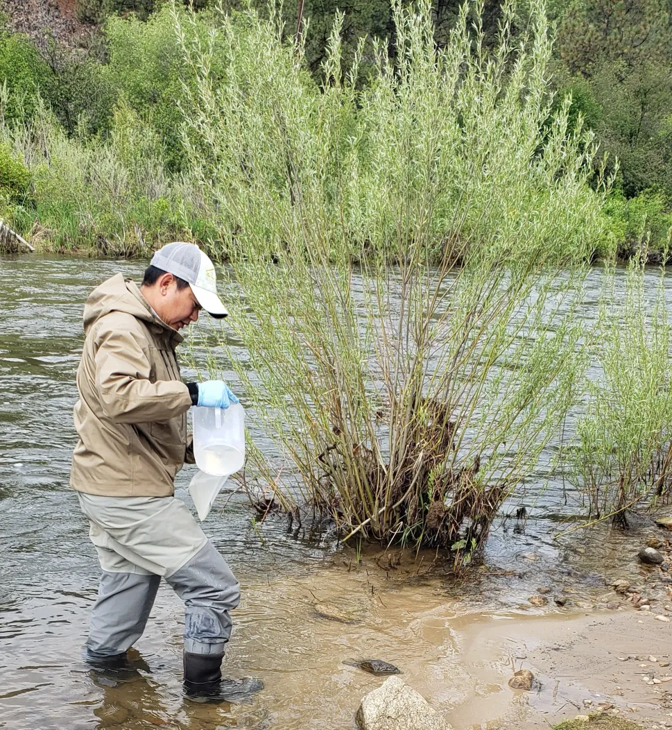 Person pouring water from a pitcher into a sample container.