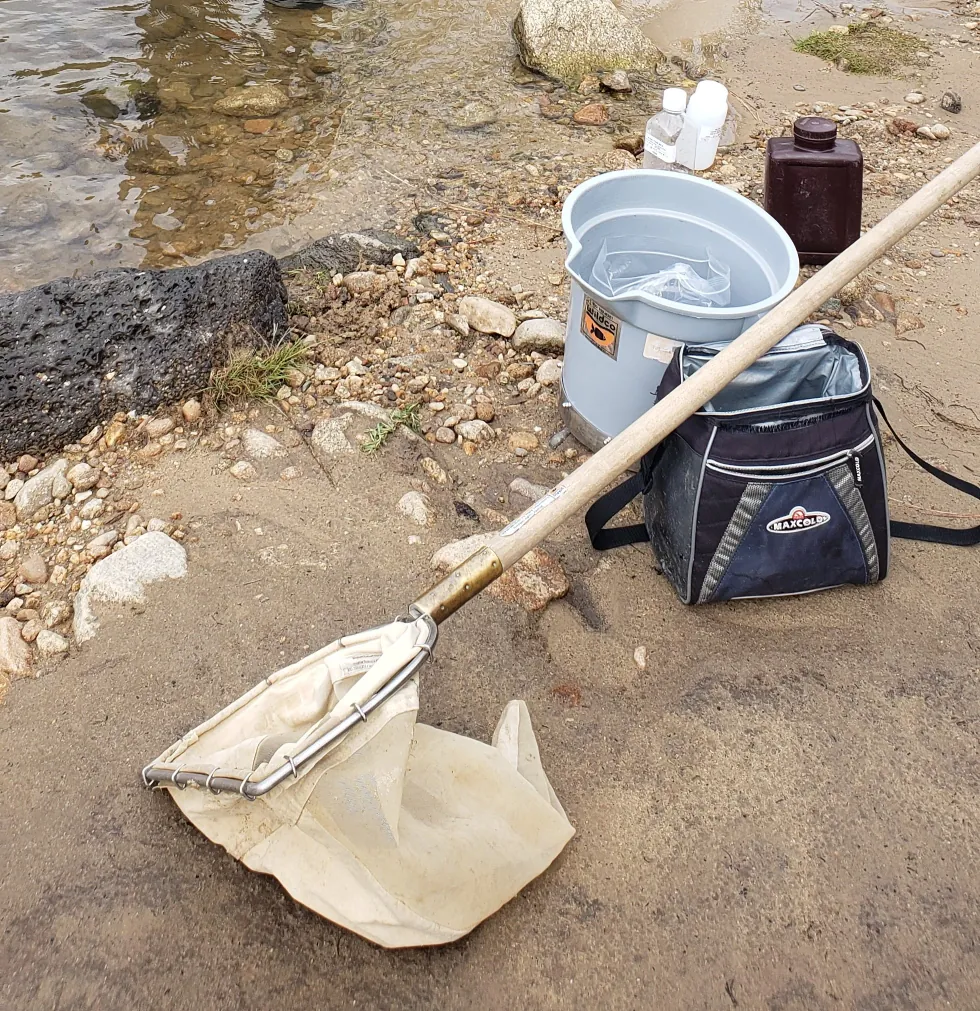 A net, bucket, insulated bag, and sampling bottles.