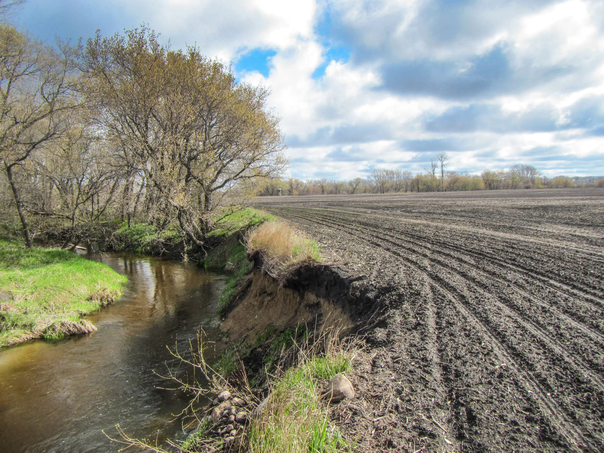 Plowed field abutting a stream.